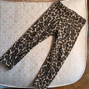J. crew crewcuts baby girl leopard leggings